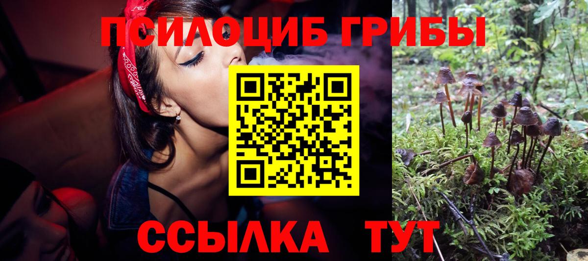 Псилоцибиновые грибы GOLDEN TEACHER Семилуки