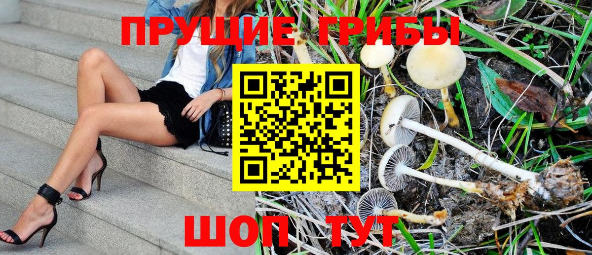 Семилуки  Псилоцибиновые грибы MAGIC MUSHROOMS  Галлюциногенные грибы мухоморы  Вход с VPN 